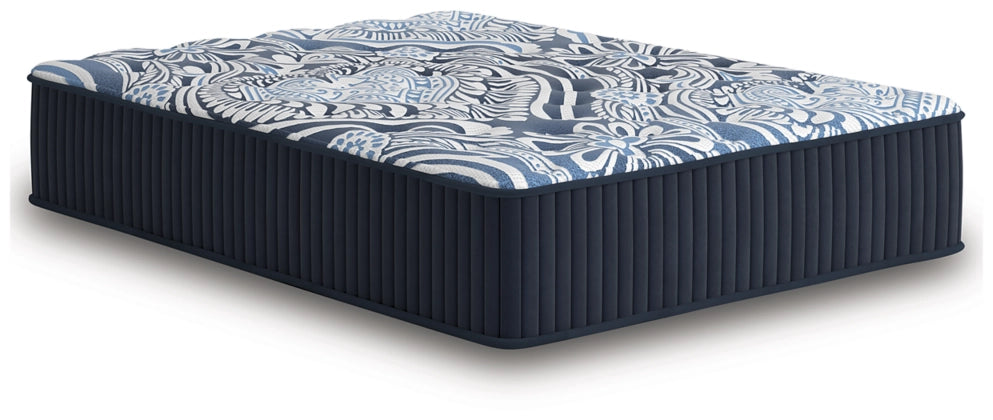 Firm Luxe 2.0 King Mattress