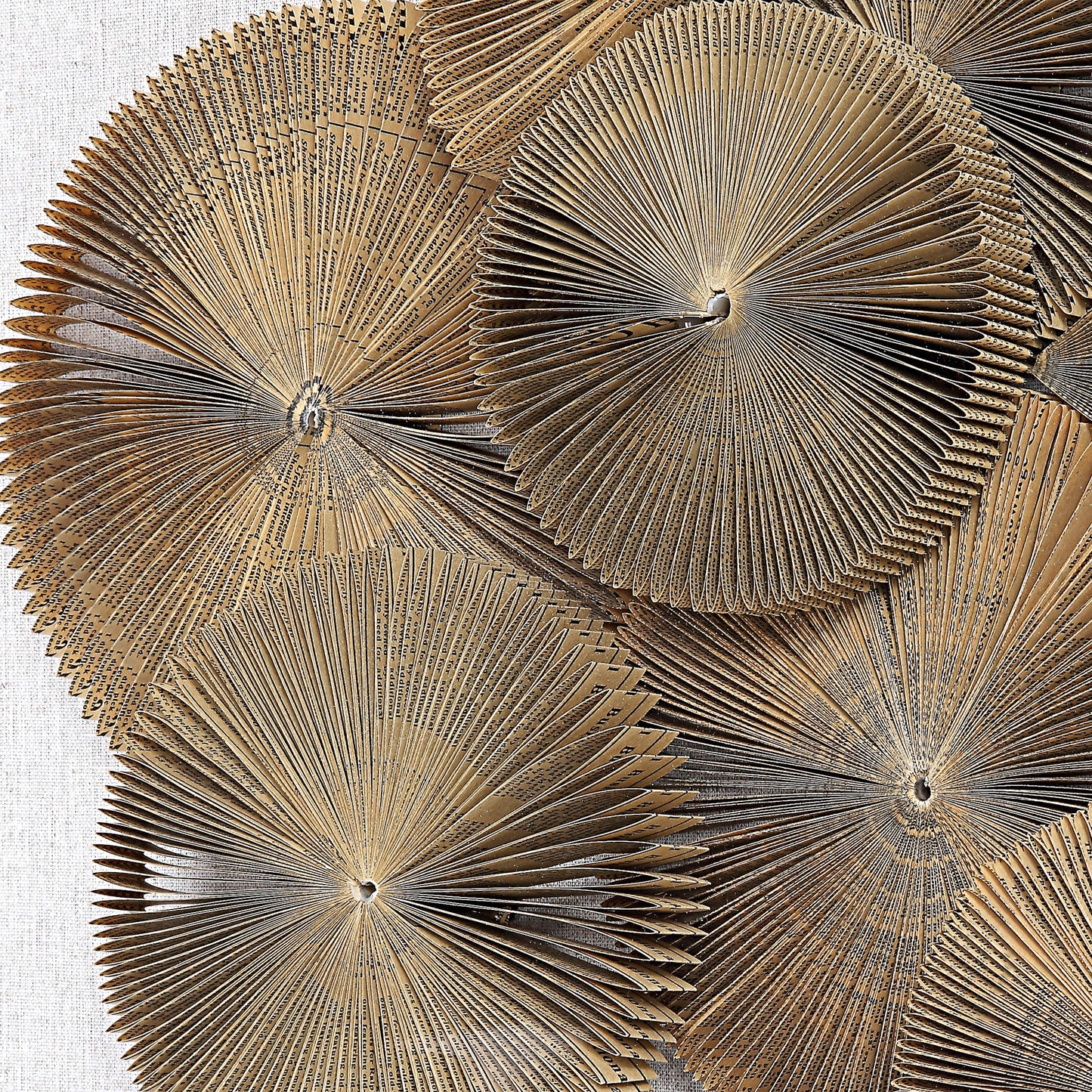 صندوق الظلال في صحيفة التايمز