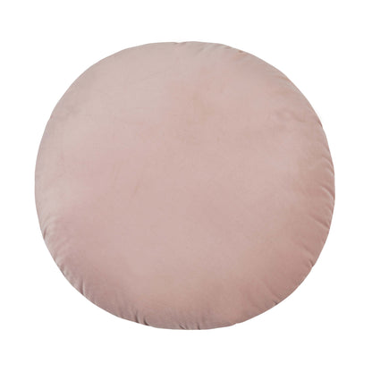 Potter 20" Blush Velvet Pillow