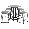Dining Table Set - D205