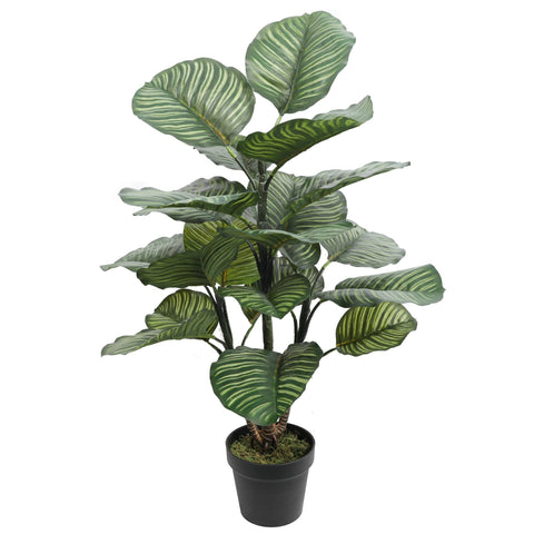 Artificial Calathea Rotundifolia 102CM Height