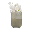 EV19441  Glass Vases( Sagebrook Home  )