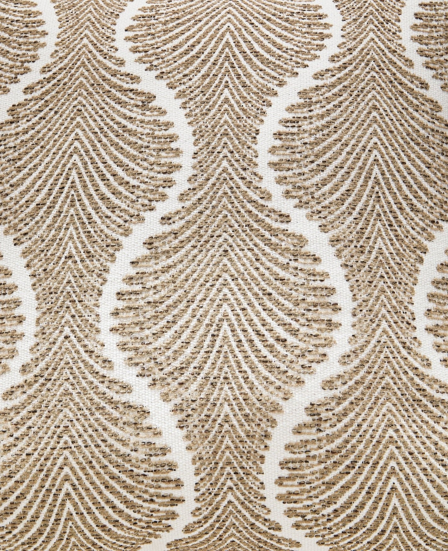 بيلكارو مع طاولات مجانية 10