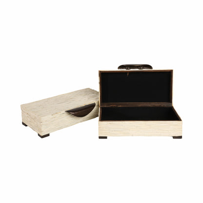 S/2 14/16" Hadwin Resin Cream Boxes