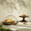 Clove Glass Cloche W/ Wooden Stand