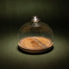 Goblet Glass Cloche With Wooden Base