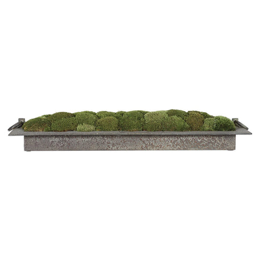 Heath, Preserved Moss Tray