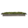 Heath, Preserved Moss Tray
