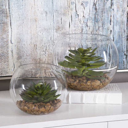 Eloy Terrariums, S/2