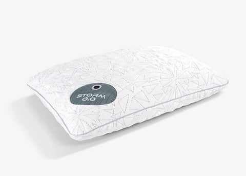 SAP02520P | Storm 2022 Pillow