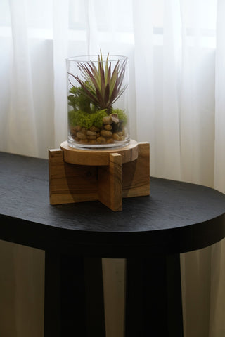Tray |BT0017G