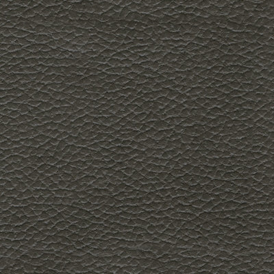 Screen Time Power Recliner