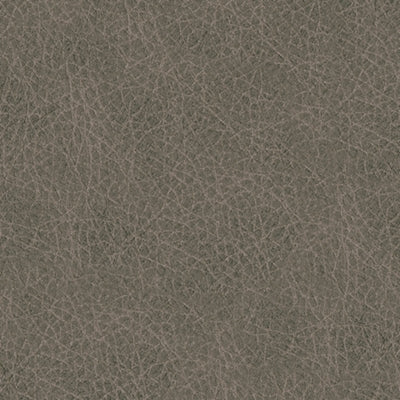 Ashley Homestore |Starbot 2350157