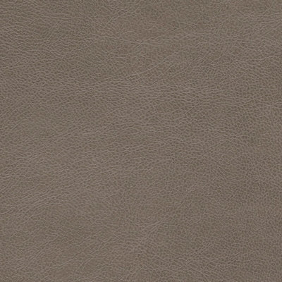 Fyne-Dyme Power Recliner