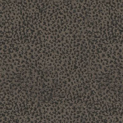 Ashley Homestore |First Base